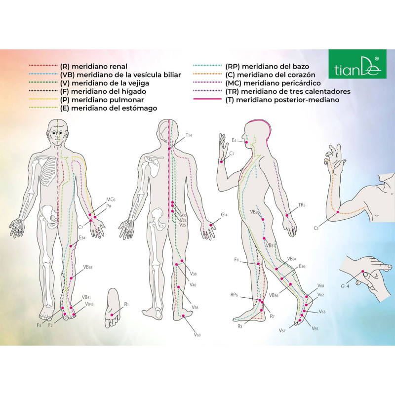 Parche Terapéutico para el Dolor Articular y Muscular Jian Kang. 5/u