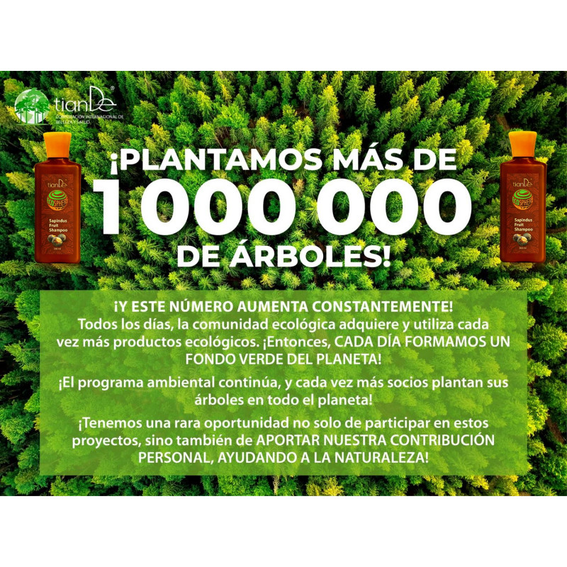 Champú Terapéutico Ecológico con Nueces del Árbol del Jabón.