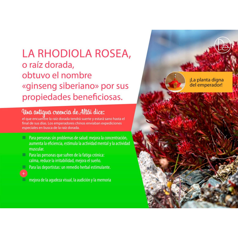 Infusión de Altái con hoja Negra y Rhodiola. 20/u