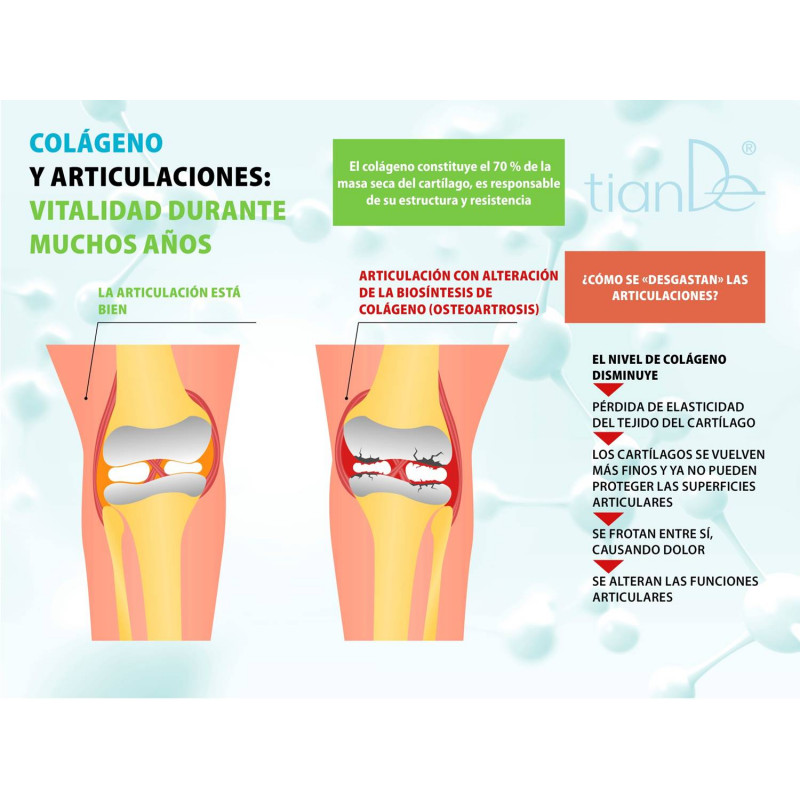 Complemento Alimencio con Colágeno Hidrolizado, Gelatina de Cereza y Zumo de Granada. 21/u