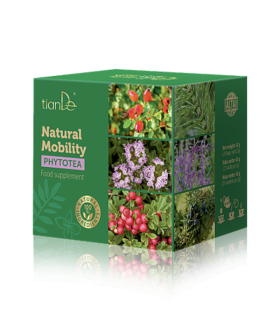 Infusión Terapeutica de la Taiga para las Articulaciones.