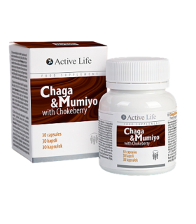Complemento Alimenticio de Altai para La Fatiga Crónica con Chaga y Mumiyo. 30/u