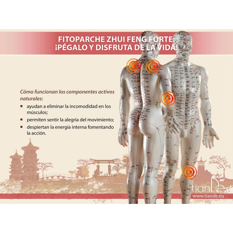 Fito Parche para el Dolor Articular y Muscular Zhui Feng. 4/u